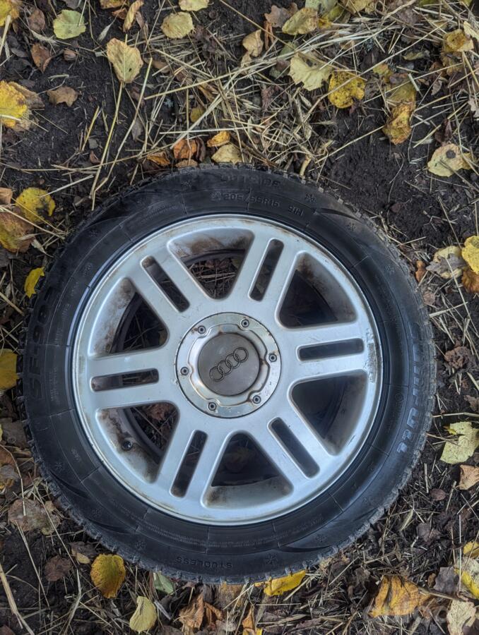 Audi, lietie