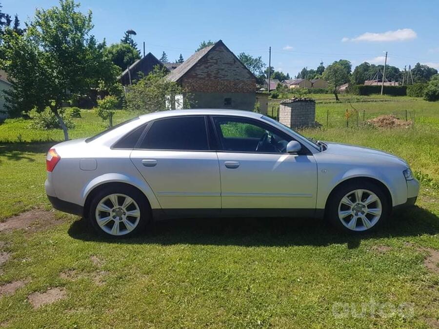 Audi, lietie