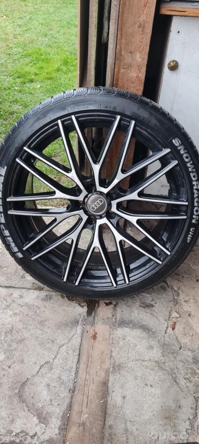 Audi, lietie