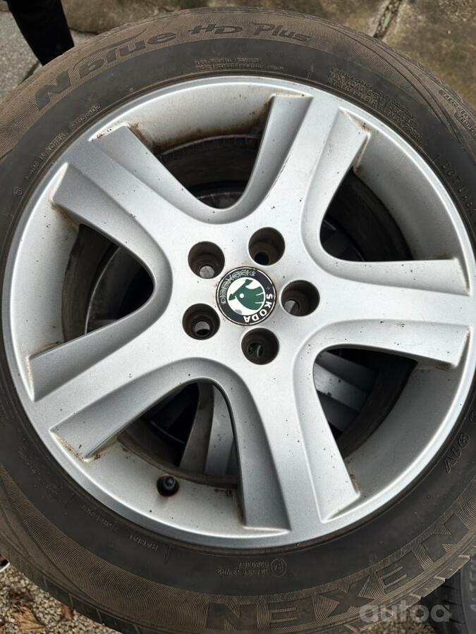 Skoda, lietie