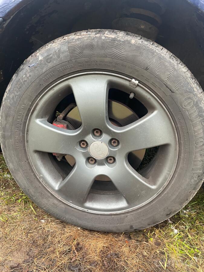 Skoda, lietie