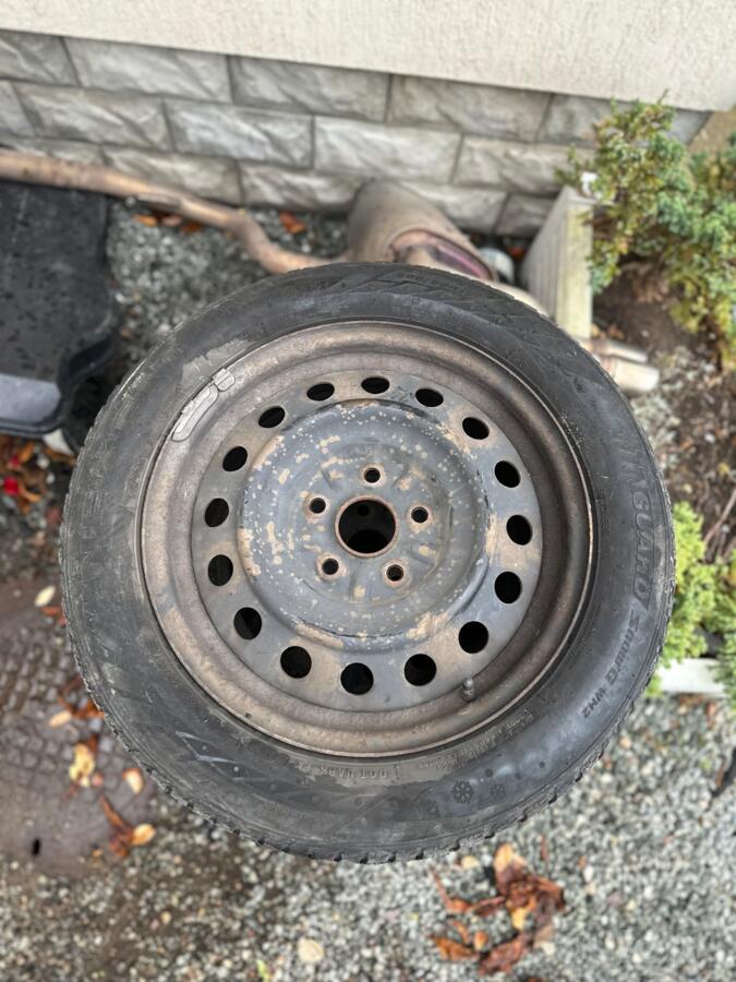 Toyota, tērauda