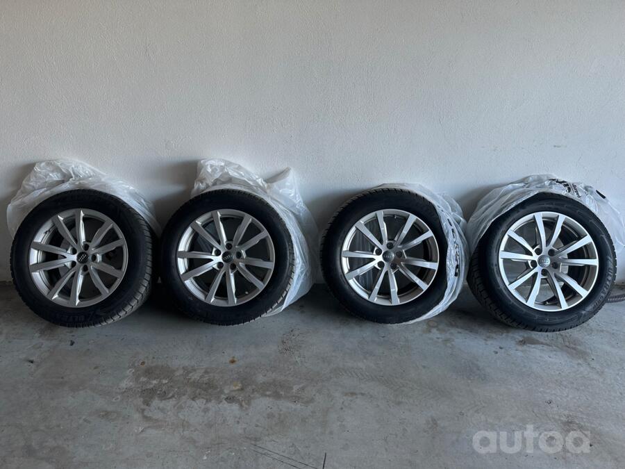 Audi, lietie