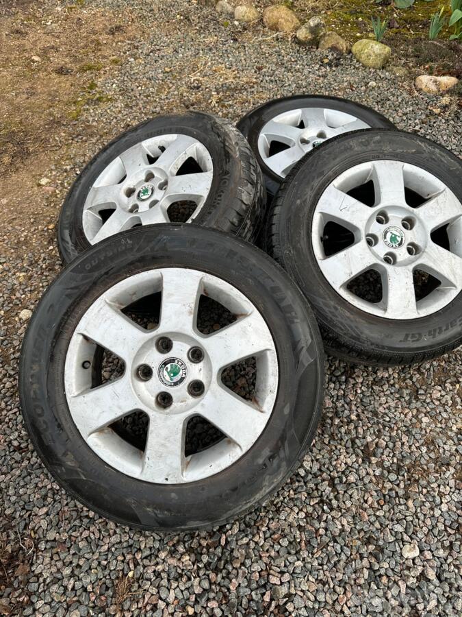 Skoda, lietie