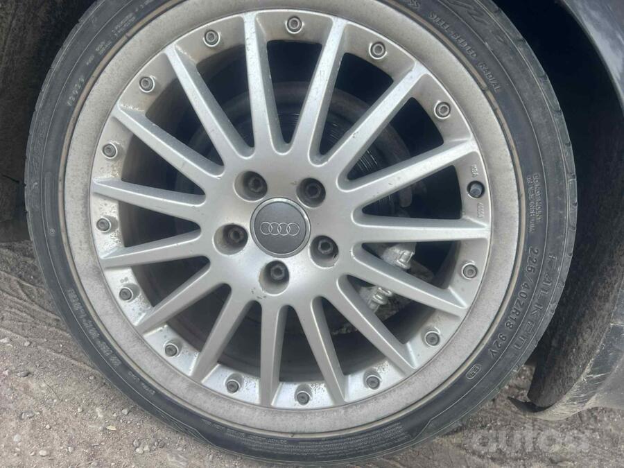 Audi, lietie