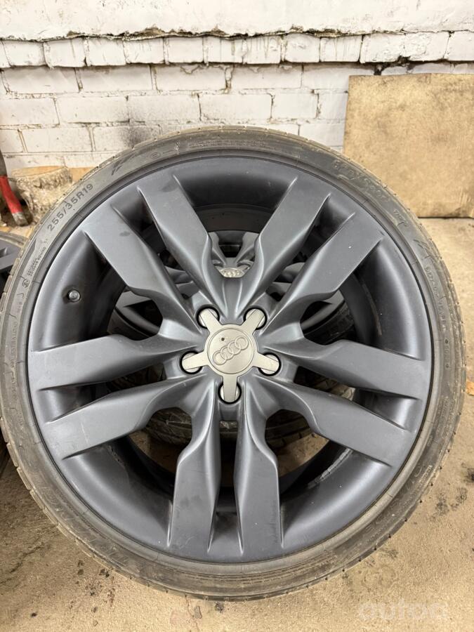 Audi, lietie
