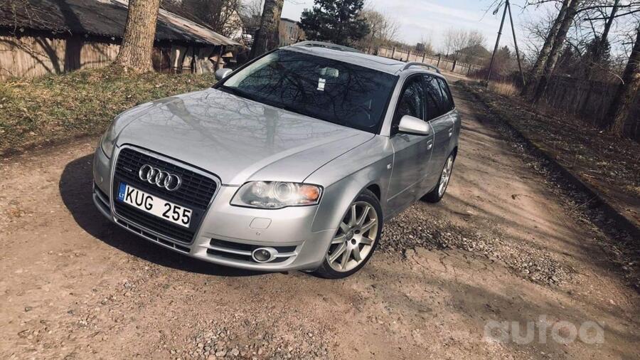 Audi, lietie