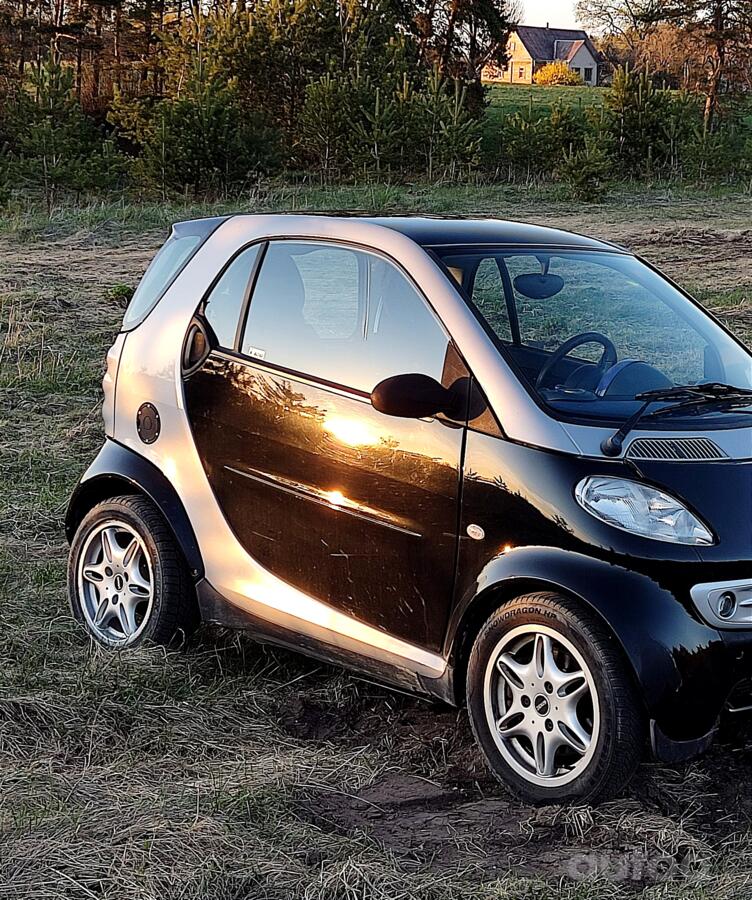 Smart, lietie