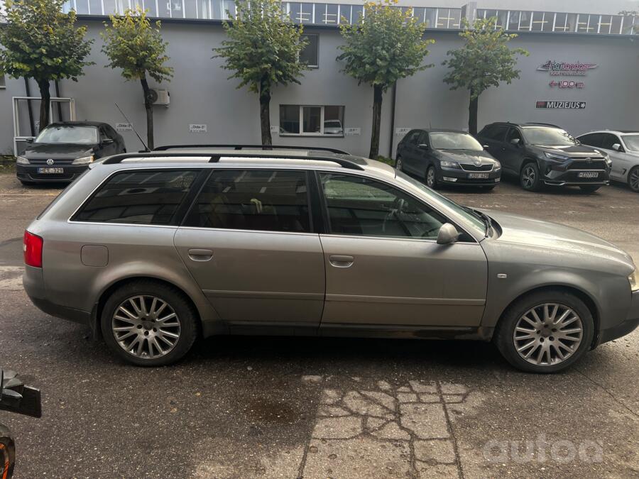 Audi, lietie