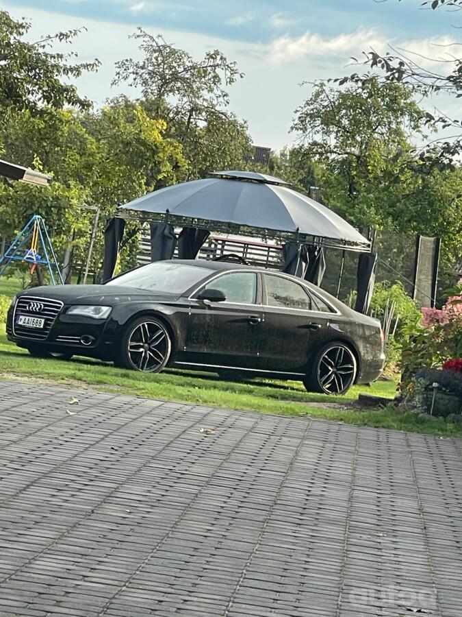 Audi, lietie