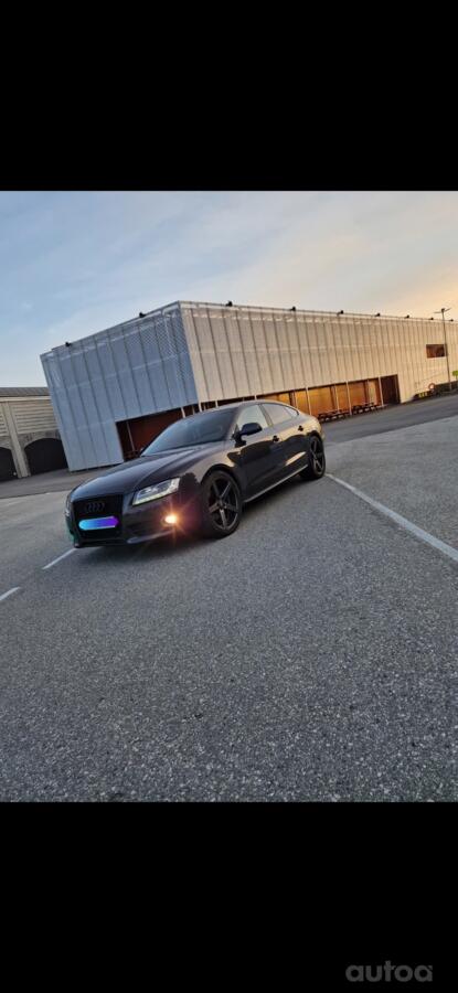 Audi, lietie