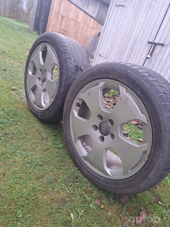 Audi, lietie