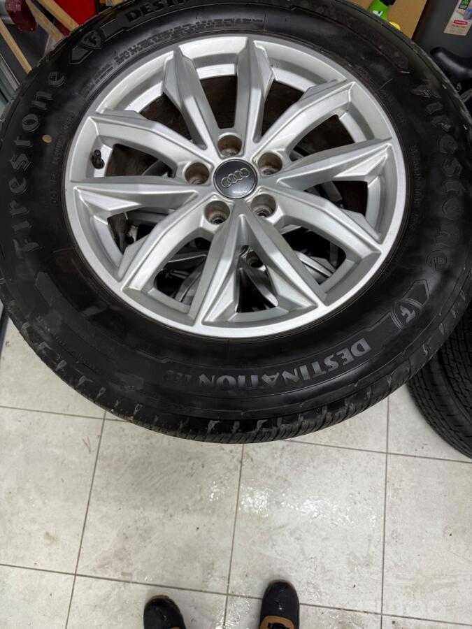 Audi, lietie