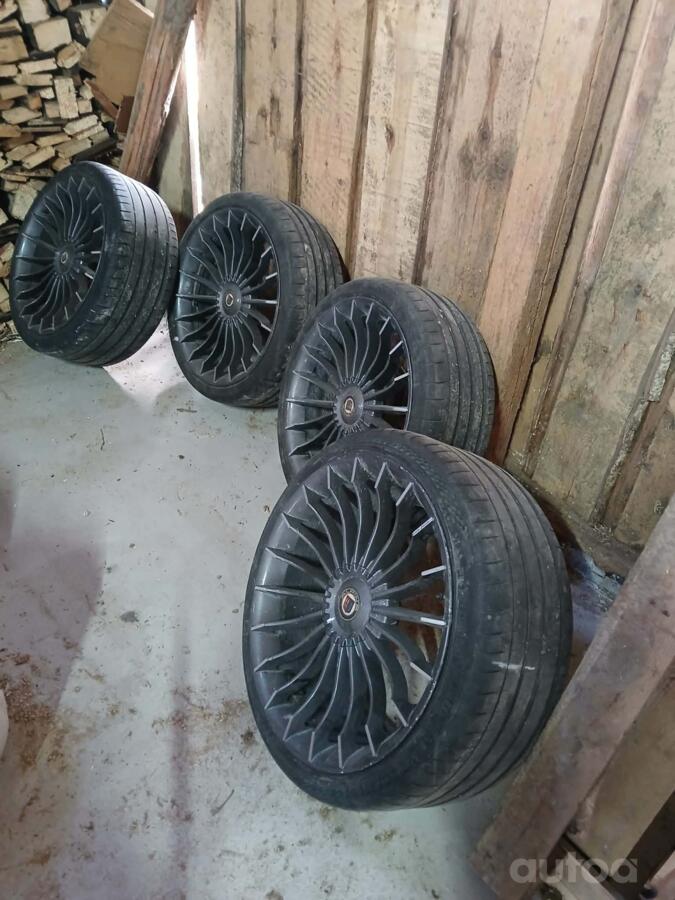 Alpina, lietie