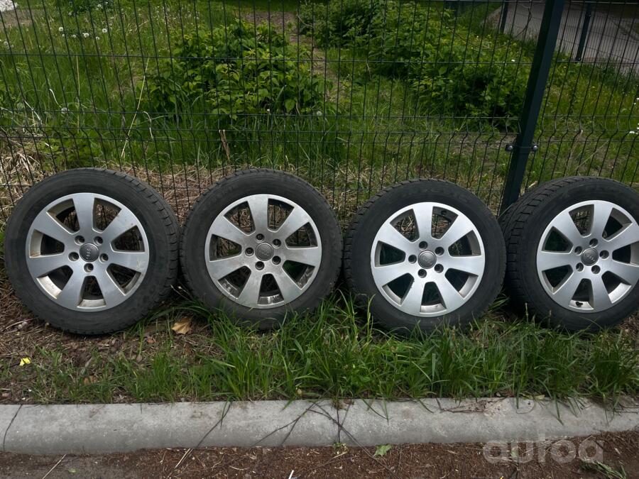 Audi, lietie