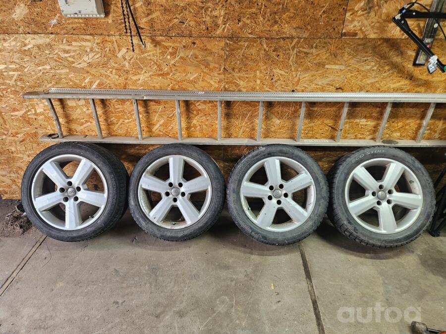Audi, lietie