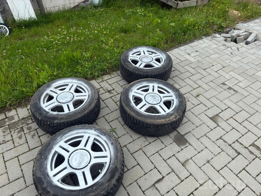 Audi, lietie