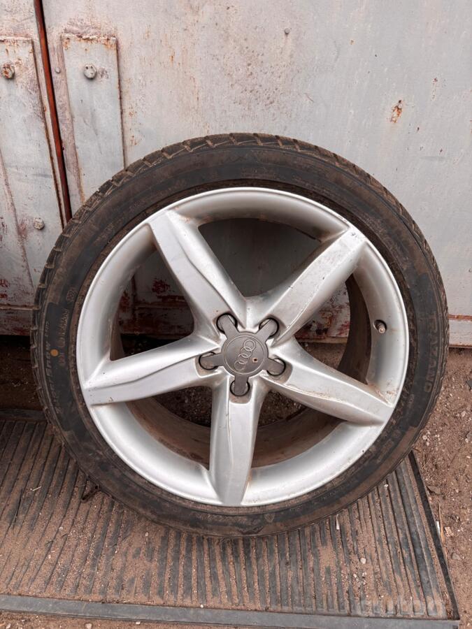 Audi, lietie