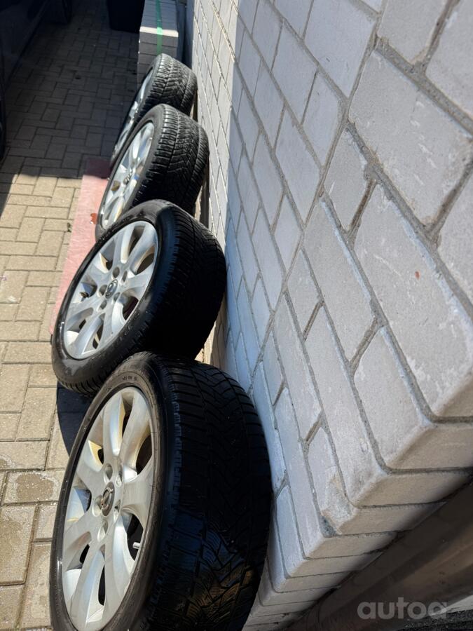 Opel, lietie