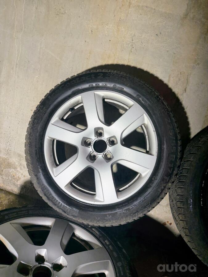 Audi, lietie