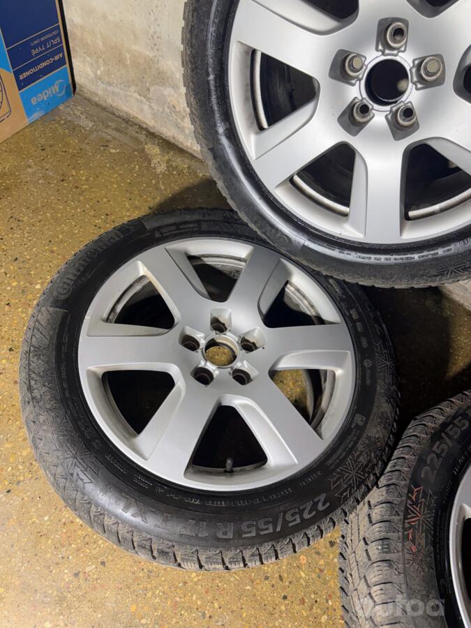 Audi, lietie