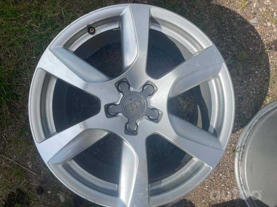 Audi, lietie