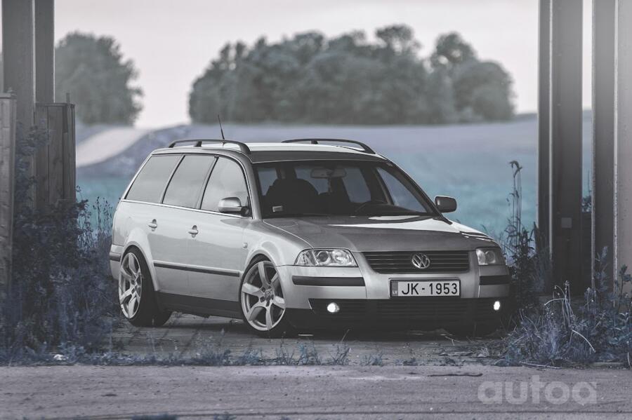 Audi, lietie
