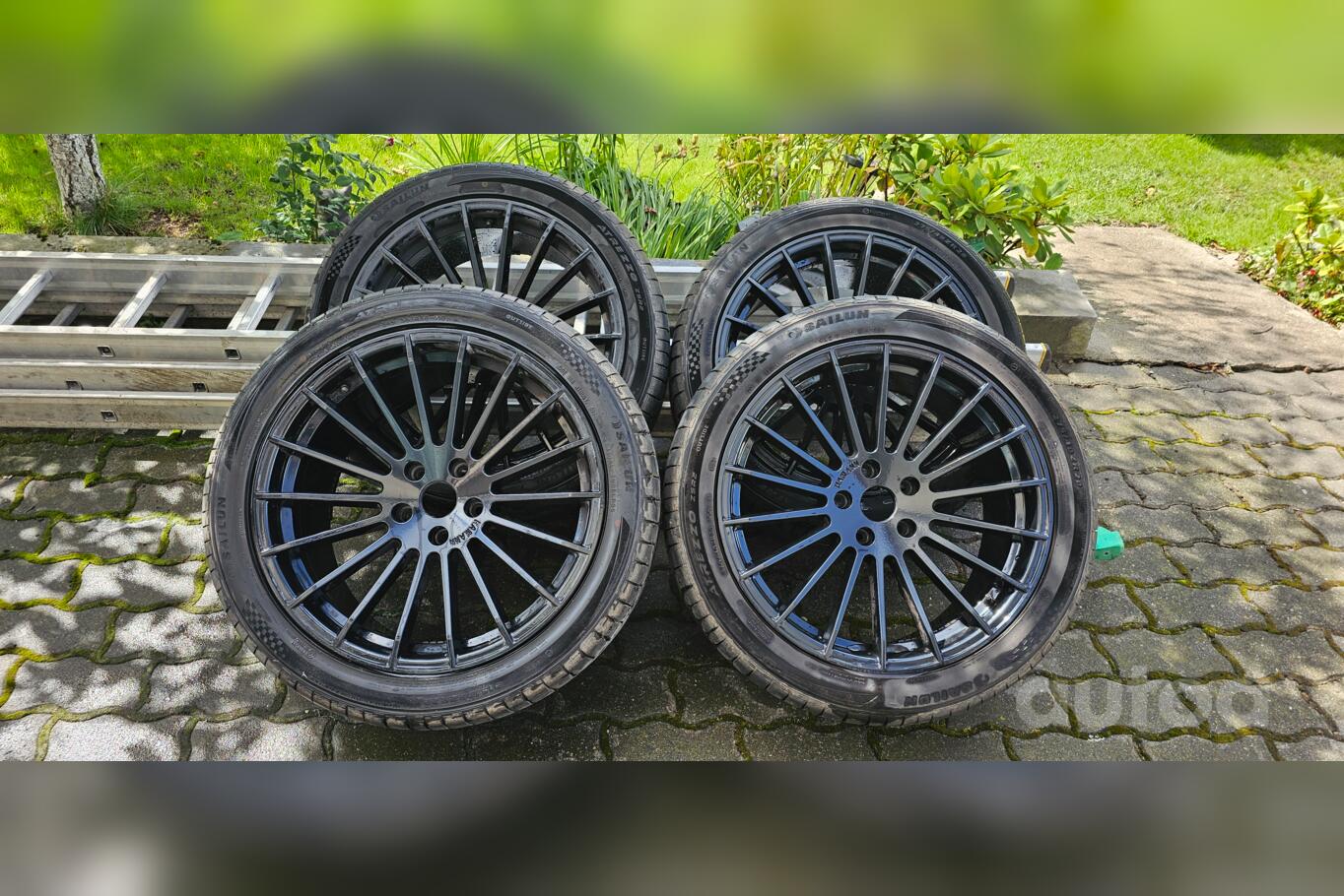 HAMANN, lietie