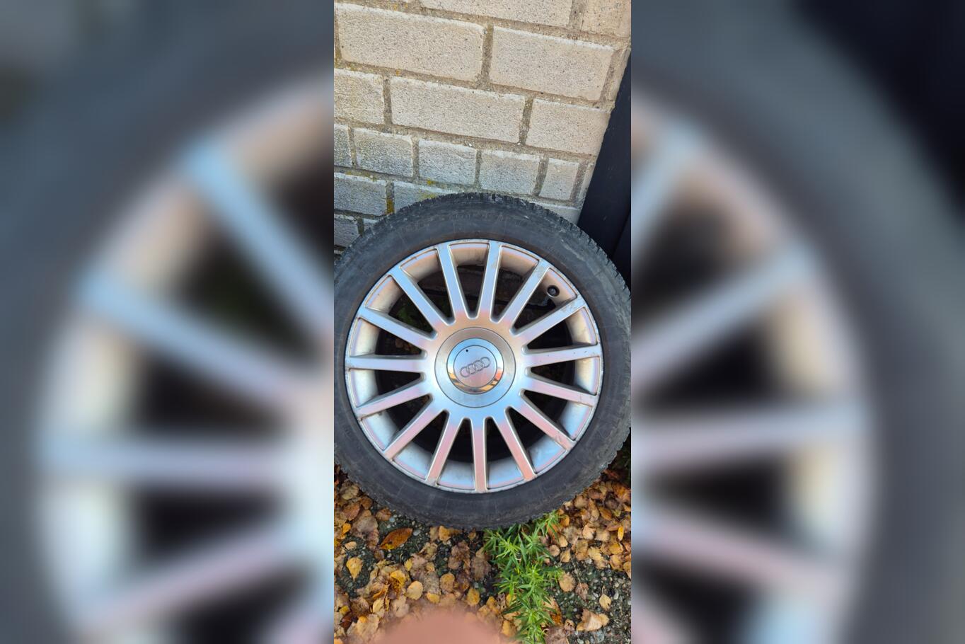 Audi, lietie