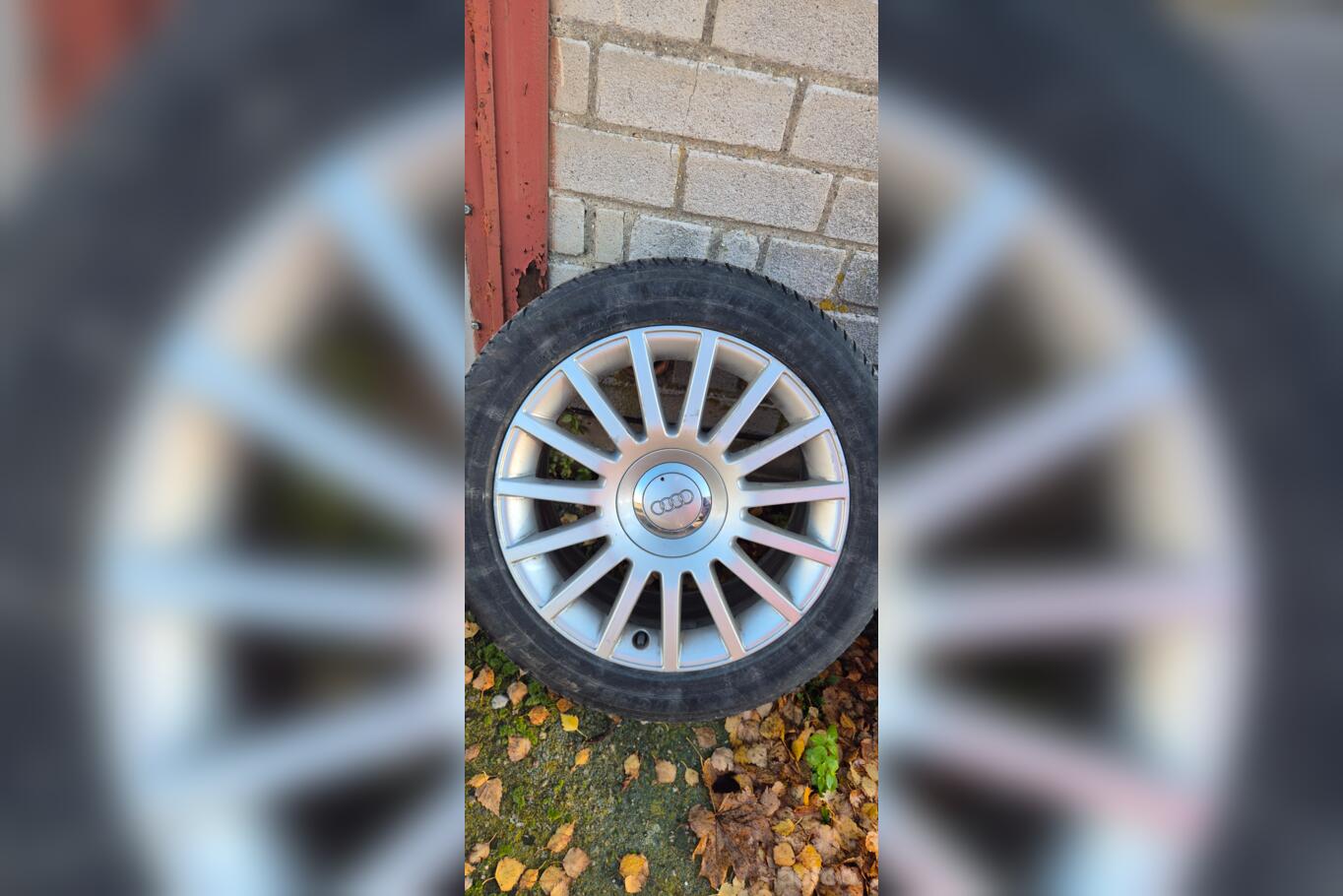 Audi, lietie