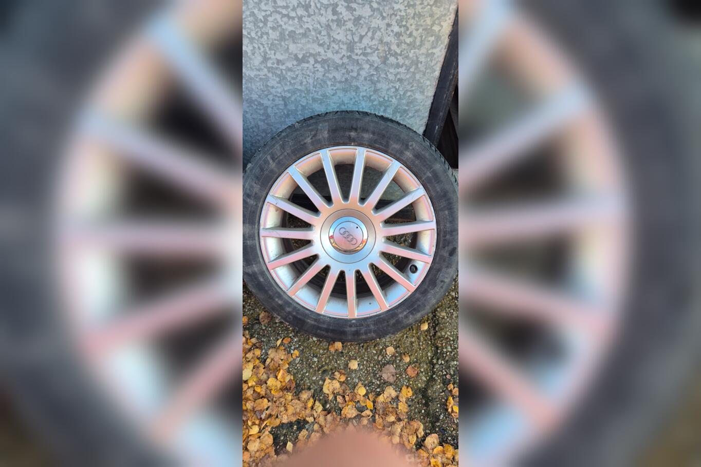 Audi, lietie