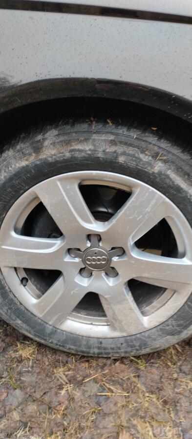 Audi, lietie