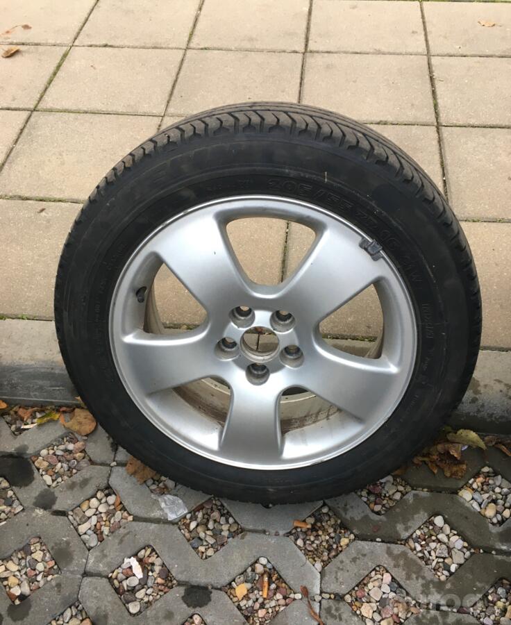Audi, lietie
