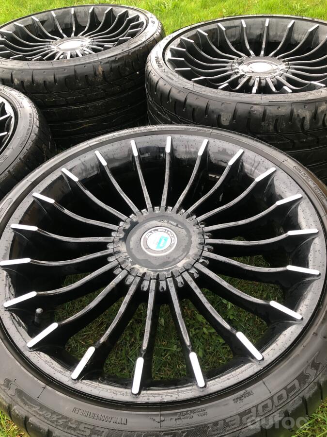 Alpina, lietie