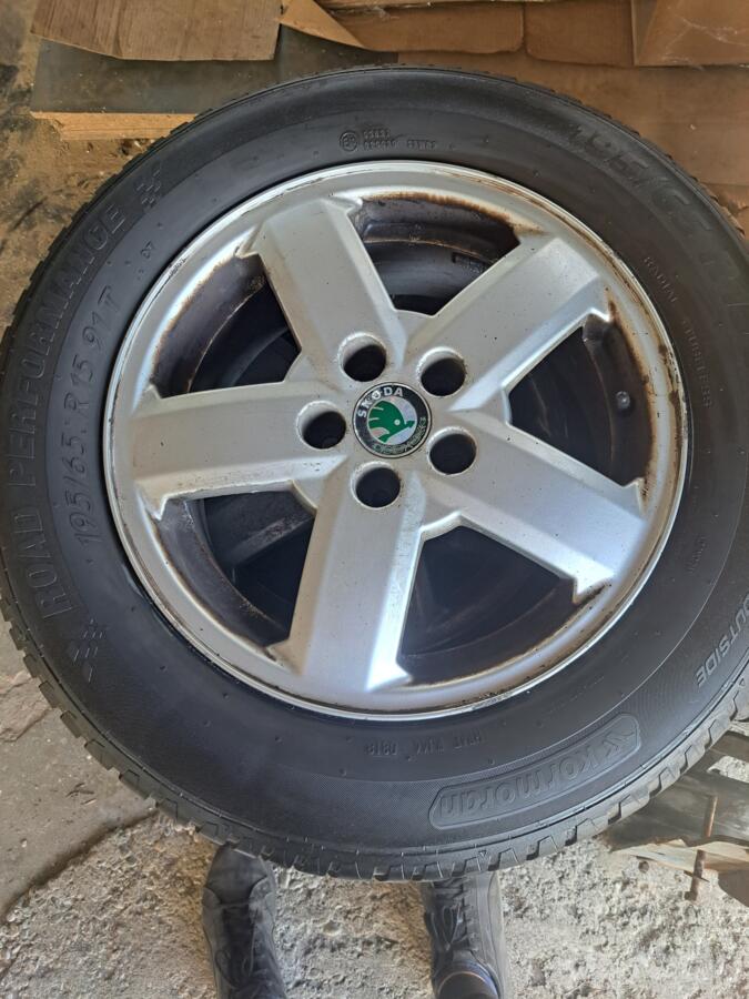 Skoda, lietie