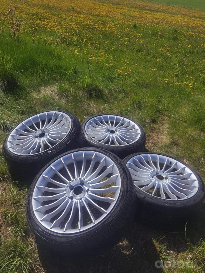 Alpina, lietie