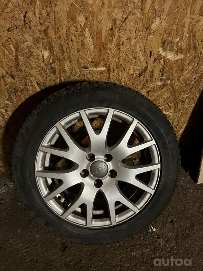Audi, lietie