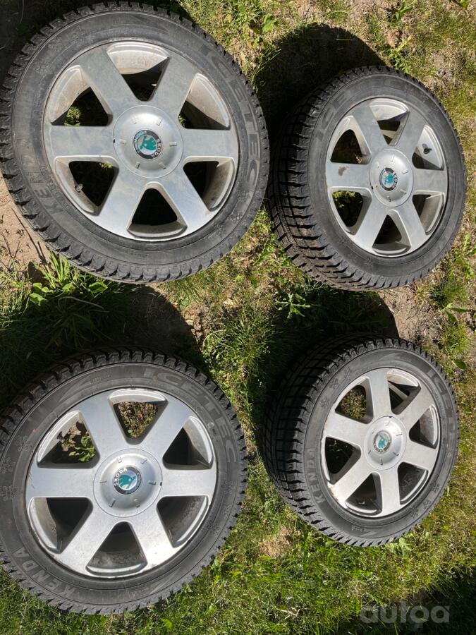 Skoda, lietie