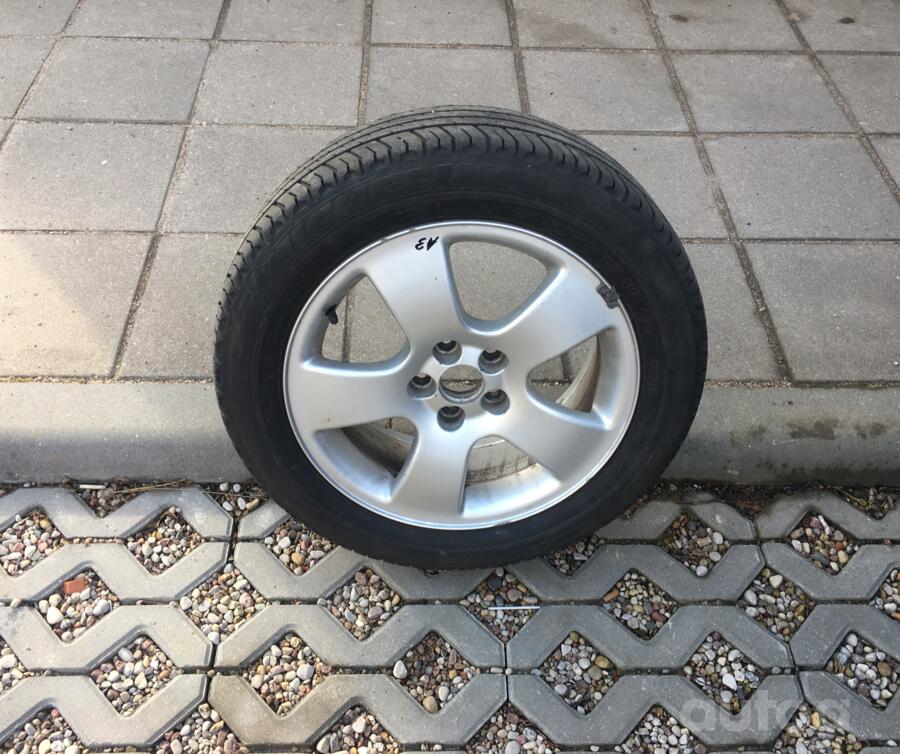 Audi, lietie