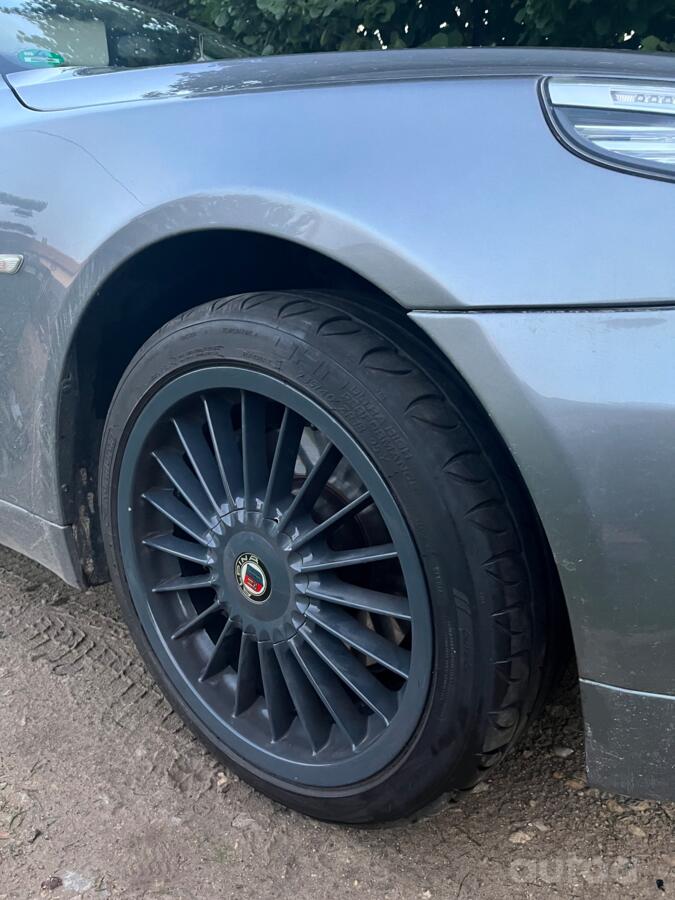 Alpina replika, lietie