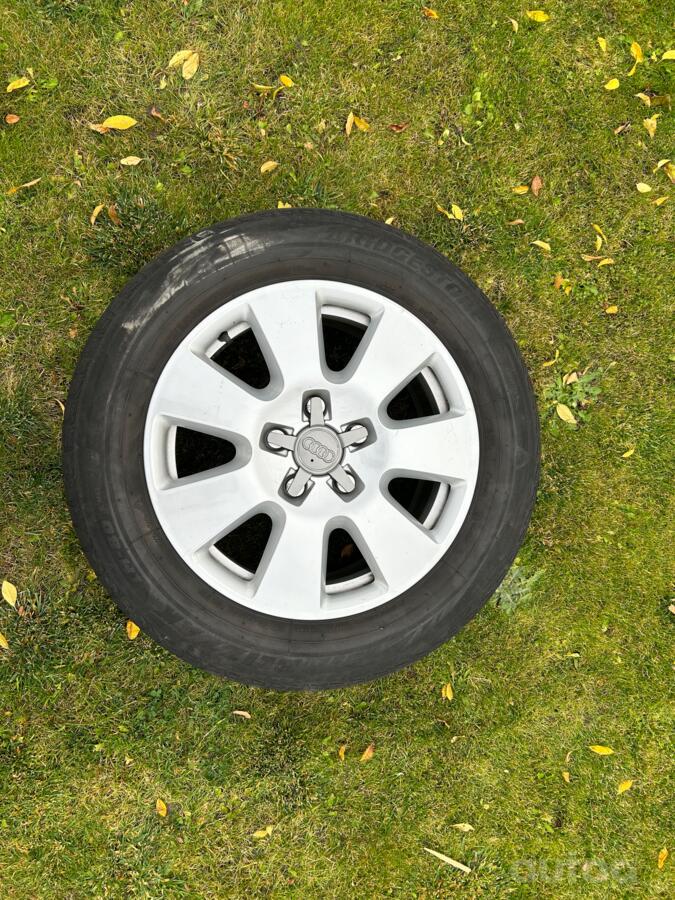 Audi, lietie