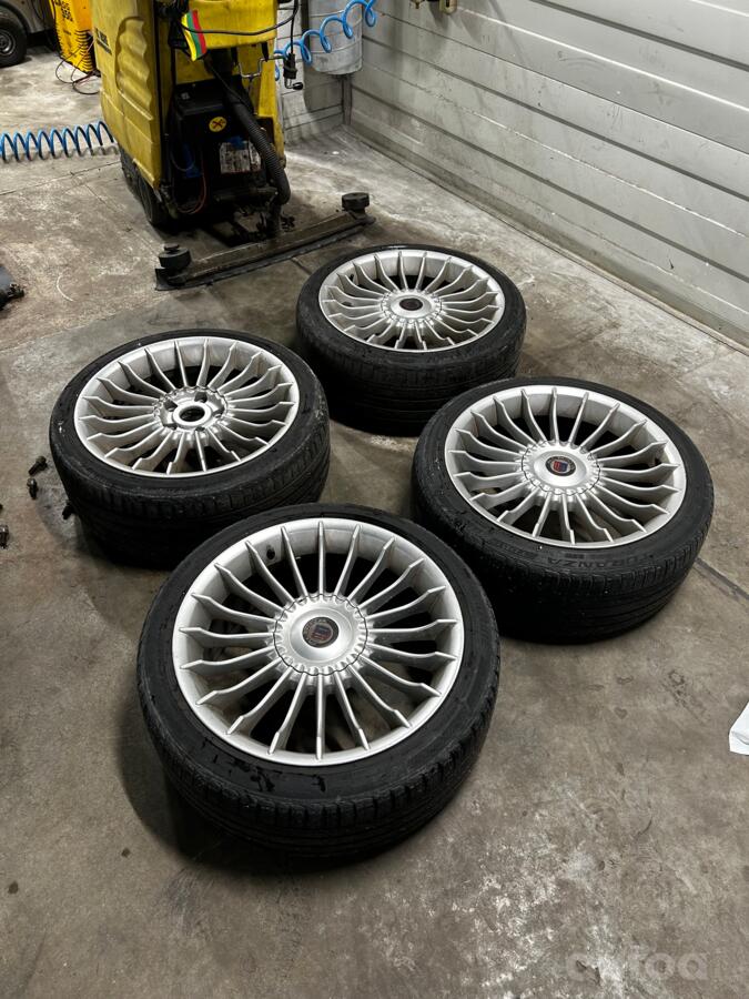 Alpina, lietie