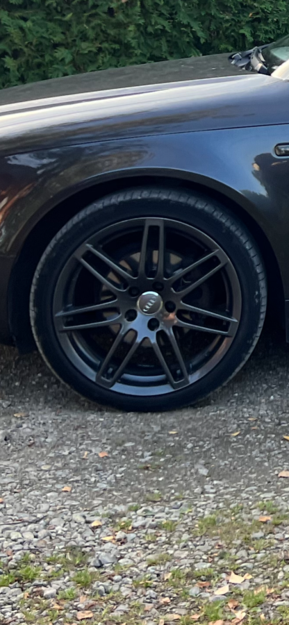 Audi, lietie