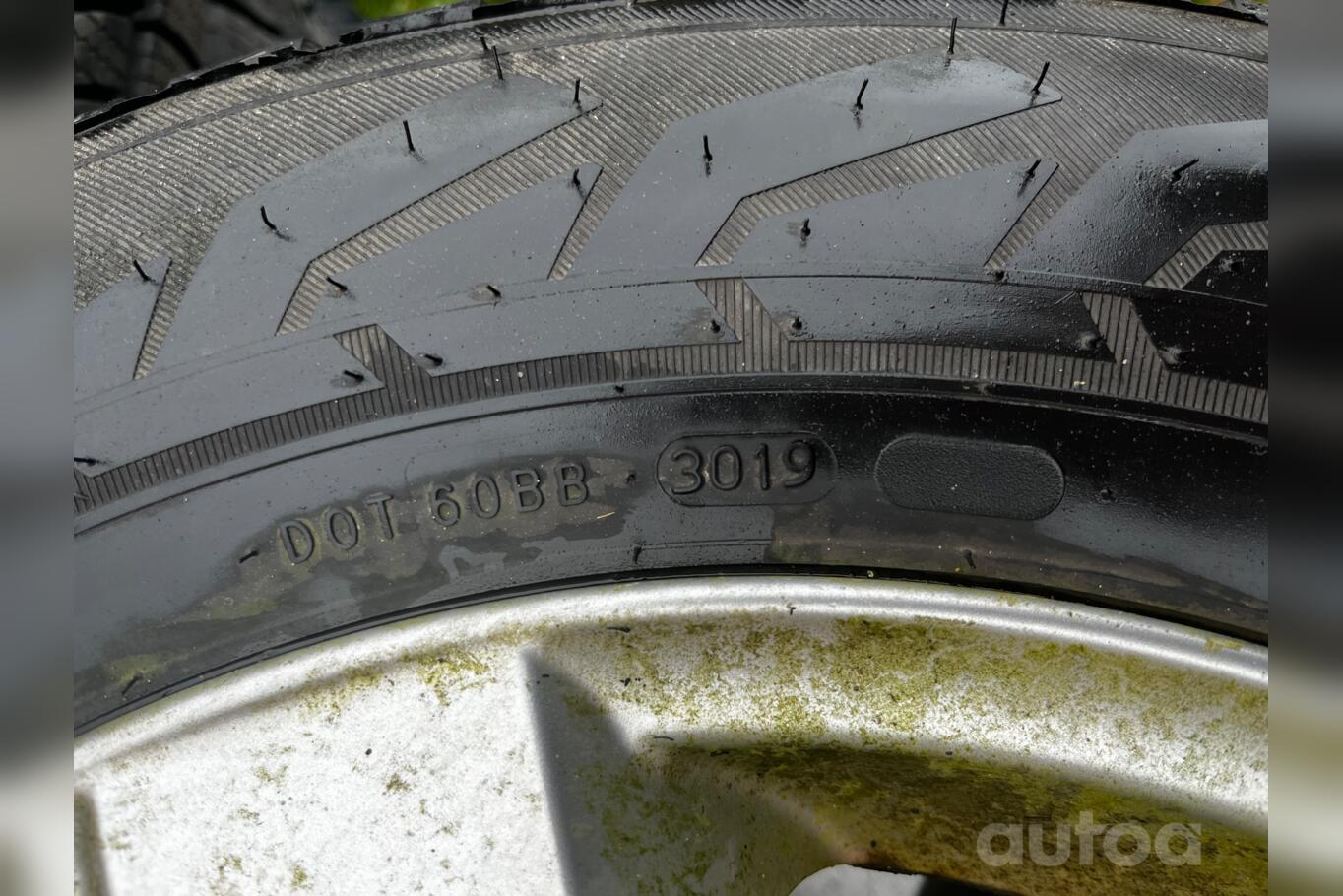 Nokian