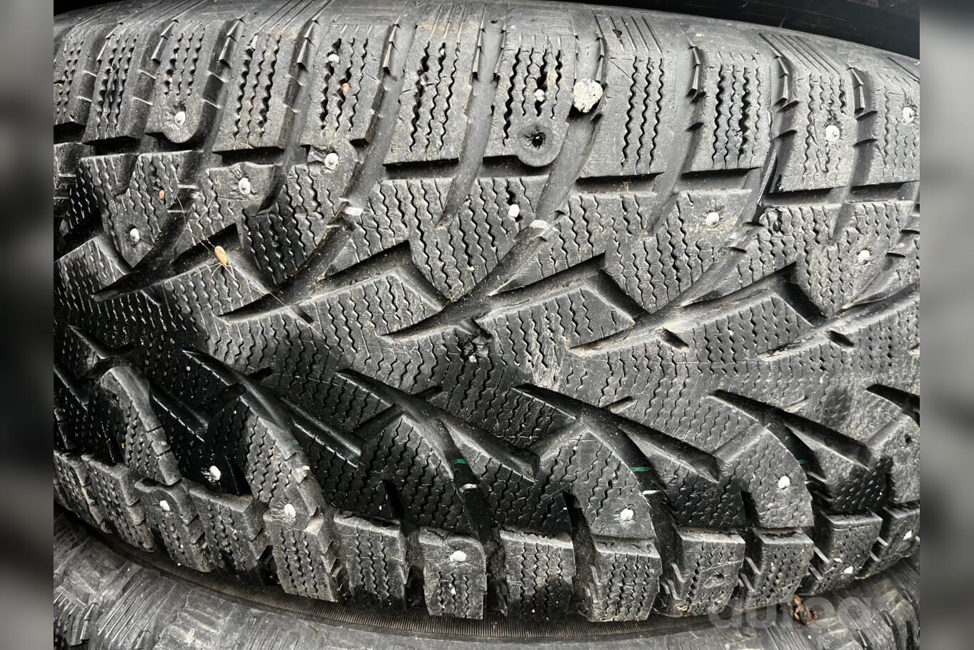 Toyo