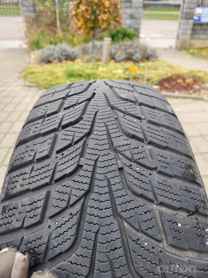 Roadcruza