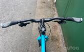 Surly Bridge Club