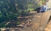 BMW X1 E84 [restyling] Crossover