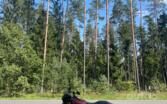 Harley Davidson Street