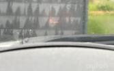BMW 5 Series E60/E61 [restyling] Touring wagon